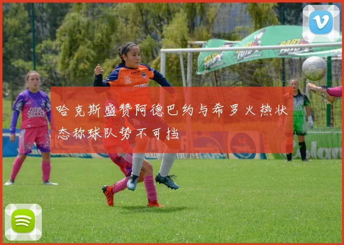 哈克斯盛赞阿德巴约与希罗火热状态称球队势不可挡