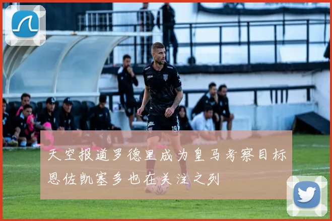天空报道罗德里成为皇马考察目标恩佐凯塞多也在关注之列