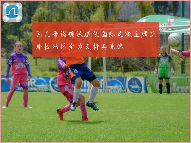 因凡蒂诺确认连任国际足联主席亚非拉地区全力支持其竞选